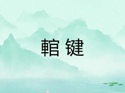 輨键