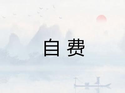自费