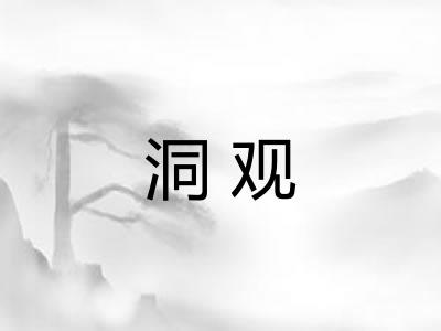 洞观