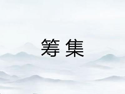 筹集