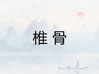 椎骨