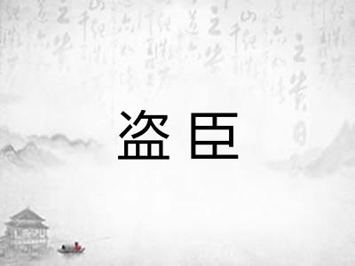盗臣
