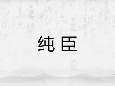 纯臣