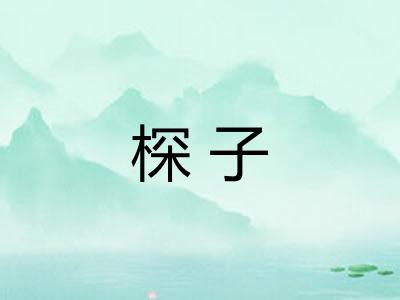 棎子