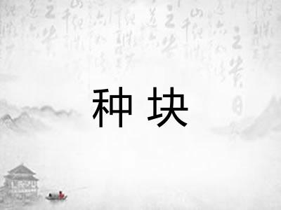 种块
