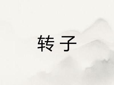 转子