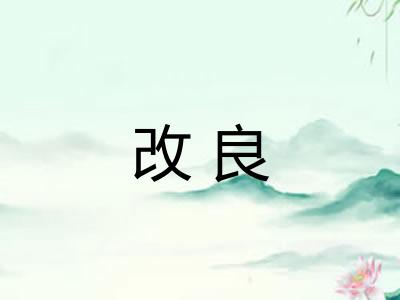 改良