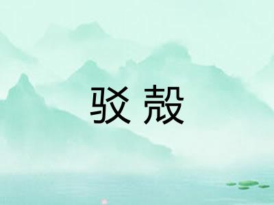 驳殻