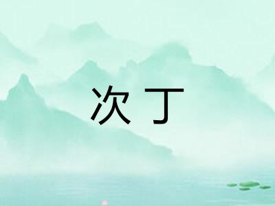 次丁