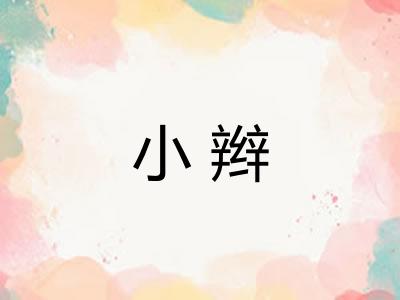 小辫