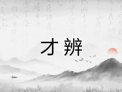 才辨