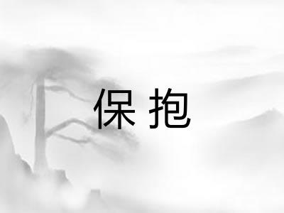 保抱