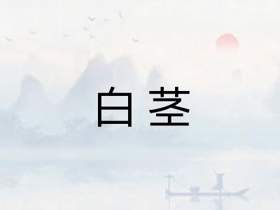 白茎