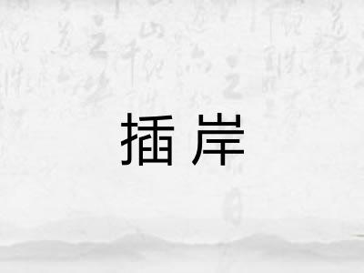 插岸