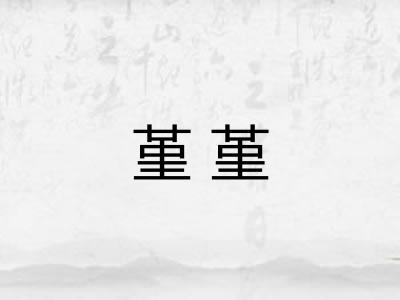 堇堇