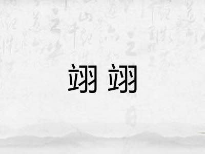 翊翊