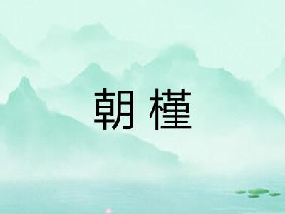 朝槿