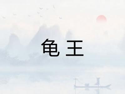 龟王