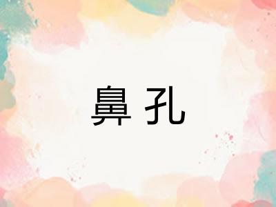 鼻孔