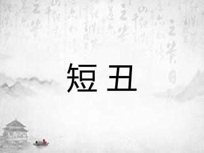 短丑