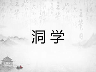 洞学