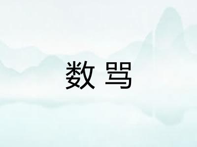 数骂