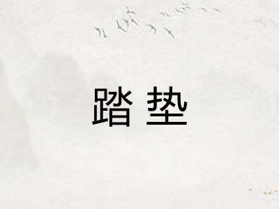 踏垫
