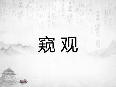 窥观