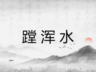 蹚浑水