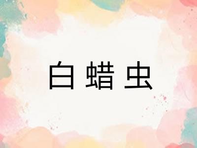 白蜡虫