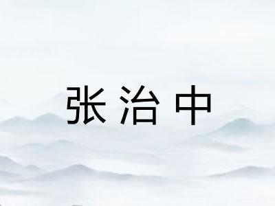 张治中