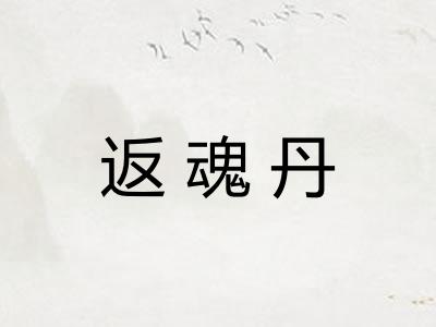 返魂丹