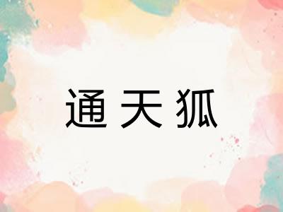 通天狐