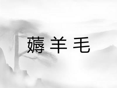 薅羊毛