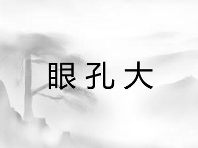 眼孔大