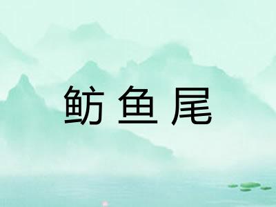 鲂鱼尾