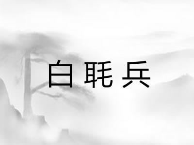 白毦兵