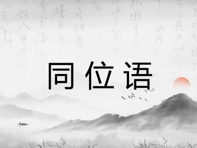 同位语