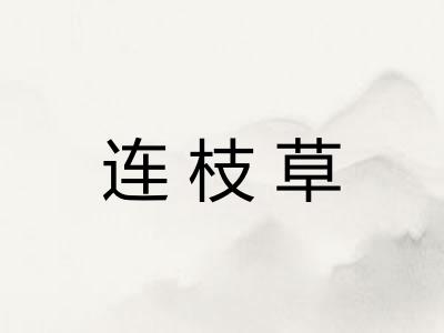 连枝草
