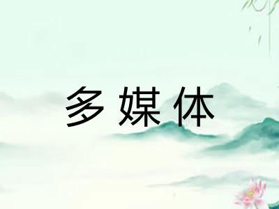 多媒体
