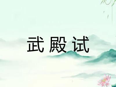 武殿试
