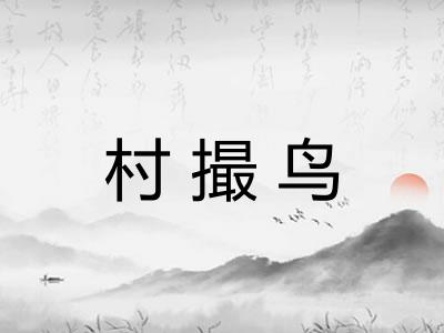 村撮鸟
