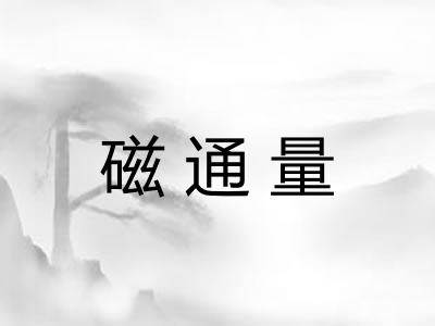 磁通量