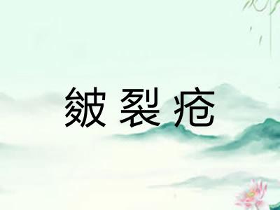 皴裂疮