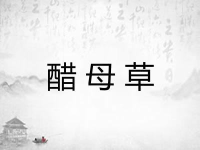 醋母草