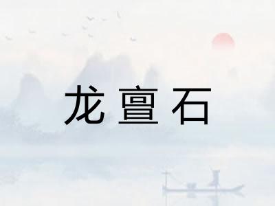 龙亶石