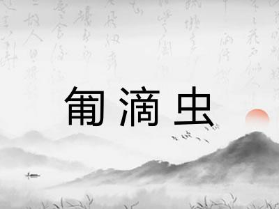 匍滴虫