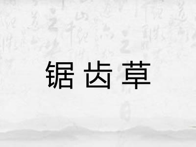 锯齿草