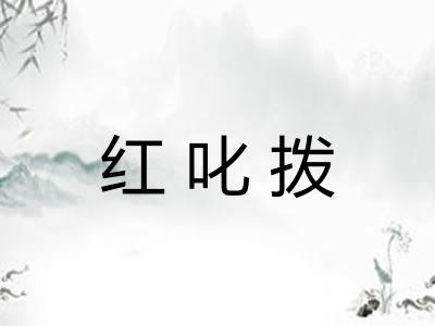 红叱拨