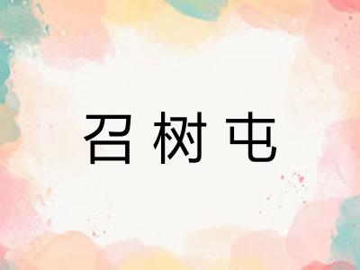 召树屯